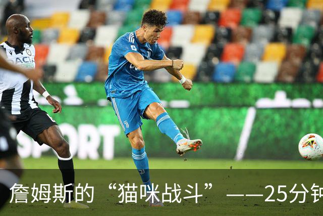 詹姆斯的“猫咪战斗”——25分钟的小故事